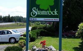 Shamrock Motel Bellingham Wa